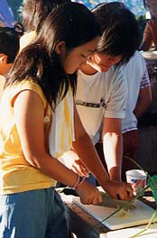 ��������l������